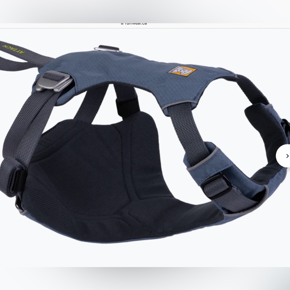 Ruffwear xxs car harness